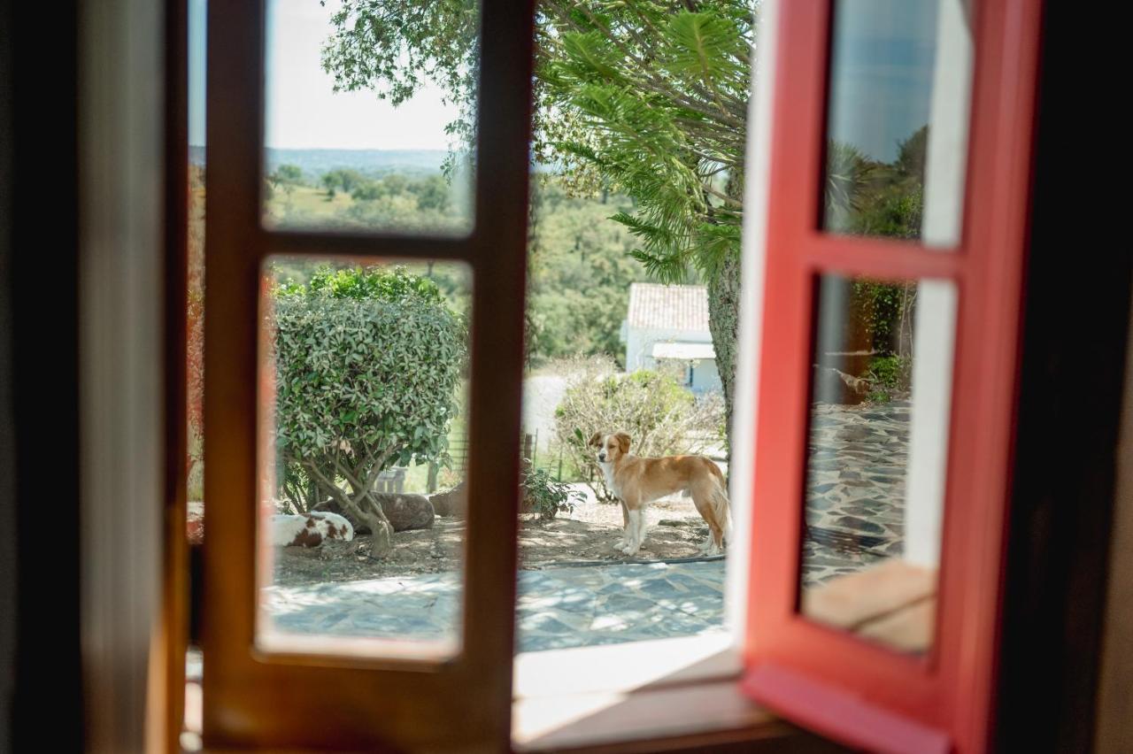 Monte Gois Country House E Spa Curvatos Exteriör bild