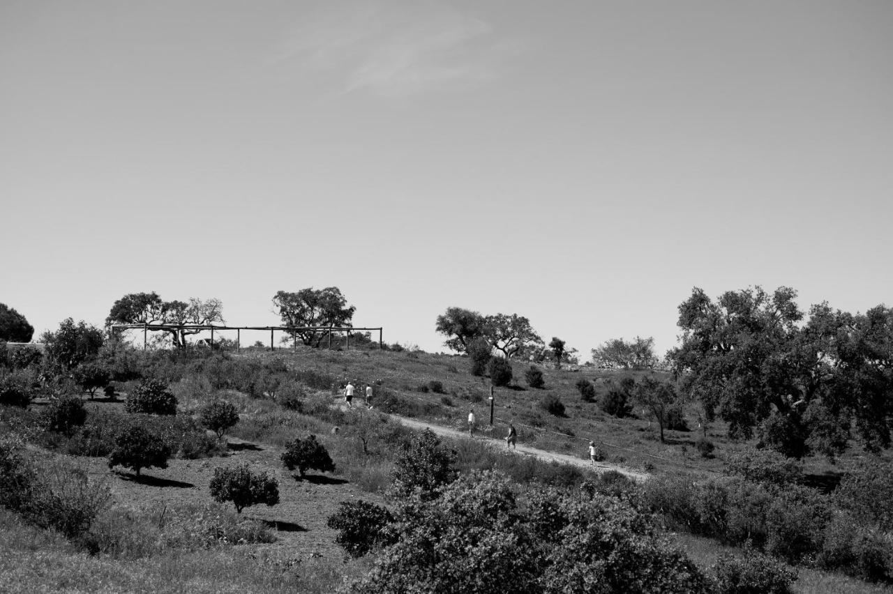 Monte Gois Country House E Spa Curvatos Exteriör bild